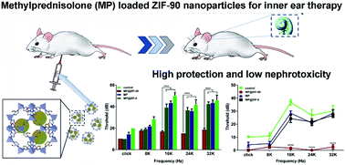 Graphical abstract: A metal–organic framework based inner ear delivery system for the treatment of noise-induced hearing loss