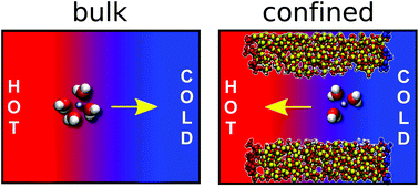 Graphical abstract: Taming the thermodiffusion of alkali halide solutions in silica nanopores