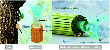 Graphical abstract: Bioinspired wood-like coaxial fibers based on MXene@graphene oxide with superior mechanical and electrical properties