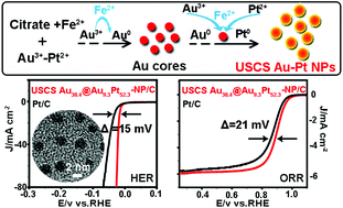 Graphical abstract: Fe(ii)-Assisted one-pot synthesis of ultra-small core–shell Au–Pt nanoparticles as superior catalysts towards the HER and ORR