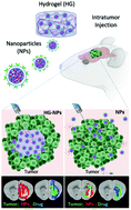 Graphical abstract: Intratumoral injection of hydrogel-embedded nanoparticles enhances retention in glioblastoma