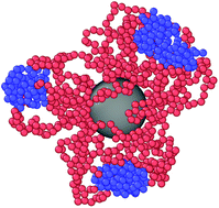 Graphical abstract: Shape control of soft patchy nanoparticles under confinement