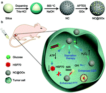 Graphical abstract: A biomimetic nanoenzyme for starvation therapy enhanced photothermal and chemodynamic tumor therapy