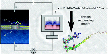 Graphical abstract: Nanopore sensing of single-biomolecules: a new procedure to identify protein sequence motifs from molecular dynamics