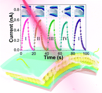 Graphical abstract: A flower-inspired divergent light-trapping structure with quasi-spherical symmetry towards a high-performance flexible photodetector