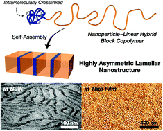 Graphical abstract: Highly asymmetric lamellar nanostructures from nanoparticle–linear hybrid block copolymers