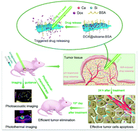 Graphical abstract: Potentiated cytosolic drug delivery and photonic hyperthermia by 2D free-standing silicene nanosheets for tumor nanomedicine