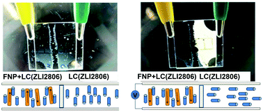 Graphical abstract: Inverse “guest–host” effect: ferroelectric nanoparticles mediated switching of nematic liquid crystals