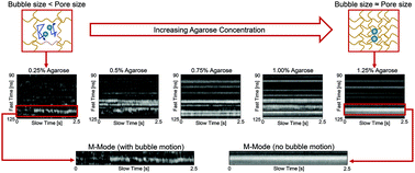 Graphical abstract: The dance of the nanobubbles: detecting acoustic backscatter from sub-micron bubbles using ultra-high frequency acoustic microscopy