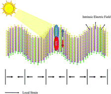 Graphical abstract: Exciton manipulation in rippled transition metal dichalcogenides