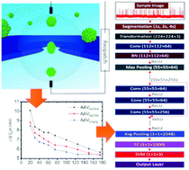 Graphical abstract: Adeno-associated virus characterization for cargo discrimination through nanopore responsiveness