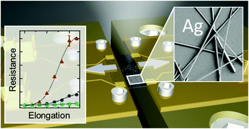 Graphical abstract: Electrical and network properties of flexible silver-nanowire composite electrodes under mechanical strain