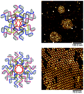 Graphical abstract: Two-layer stacked multi-arm junction tiles and nanostructures assembled with small circular DNA molecules serving as scaffolds