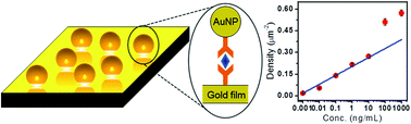 Graphical abstract: Superradiative plasmonic nanoantenna biosensors enable sensitive immunoassay using the naked eye