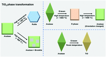 Graphical abstract: Phase transformations among TiO2 polymorphs