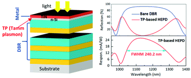 Graphical abstract: Broadband Tamm plasmon-enhanced planar hot-electron photodetector