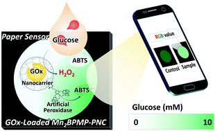 Graphical abstract: A long-term stable paper-based glucose sensor using a glucose oxidase-loaded, Mn2BPMP-conjugated nanocarrier with a smartphone readout