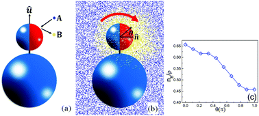 Graphical abstract: The dynamics and self-assembly of chemically self-propelled sphere dimers