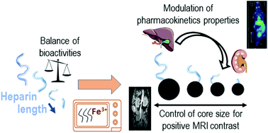 Graphical abstract: Heparin length in the coating of extremely small iron oxide nanoparticles regulates in vivo theranostic applications