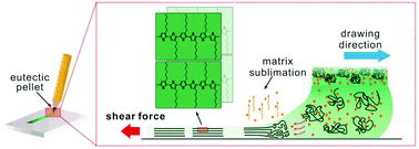 Graphical abstract: Eutectic friction transfer lithography: a facile solid-state route for highly crystalline semiconducting polymers