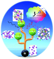 Graphical abstract: Phase transformation and room temperature stabilization of various Bi2O3 nano-polymorphs: effect of oxygen-vacancy defects and reduced surface energy due to adsorbed carbon species