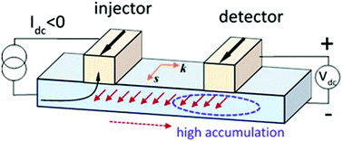 Graphical abstract: Spin–momentum locking induced non-local voltage in topological insulator nanowire