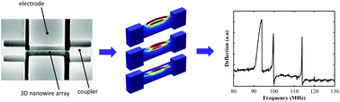 Graphical abstract: Observation of coupled mechanical resonance modes within suspended 3D nanowire arrays