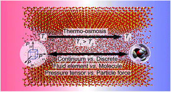 Graphical abstract: Thermo-osmosis in hydrophilic nanochannels: mechanism and size effect