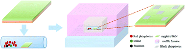 Graphical abstract: Synthesis of highly crystalline black phosphorus thin films on GaN