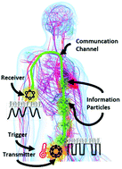 Graphical abstract: Nanoparticles as suitable messengers for molecular communication