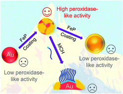 Graphical abstract: Enhancing the peroxidase-like activity and stability of gold nanoparticles by coating a partial iron phosphate shell
