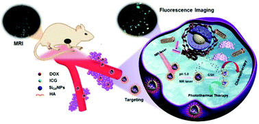 Graphical abstract: HA targeted-biodegradable nanocomposites responsive to endogenous and exogenous stimulation for multimodal imaging and chemo-/photothermal therapy