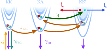 Graphical abstract: Phonon-assisted exciton dissociation in transition metal dichalcogenides