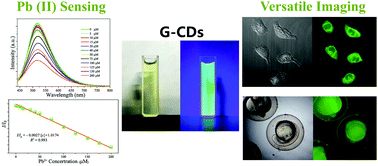 Graphical abstract: Pb(ii) detection and versatile bio-imaging of green-emitting carbon dots with excellent stability and bright fluorescence