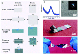 Graphical abstract: Development of stretchable metallic glass electrodes