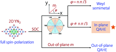 Graphical abstract: Fully spin-polarized Weyl fermions and in/out-of-plane quantum anomalous Hall effects in a two-dimensional d0 ferromagnet