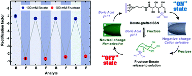 Graphical abstract: Borate-driven ionic rectifiers based on sugar-bearing single nanochannels