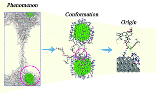 Graphical abstract: Microscopic insight into nanodiamond polymer composites: reinforcement, structural, and interaction properties