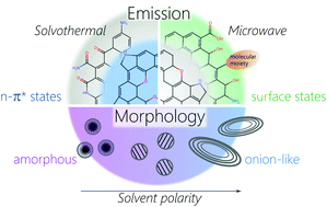 Graphical abstract: The influence of thermal treatment conditions (solvothermal versus microwave) and solvent polarity on the morphology and emission of phloroglucinol-based nitrogen-doped carbon dots