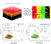 Graphical abstract: Photovoltaic modulation of ferromagnetism within a FM metal/P–N junction Si heterostructure