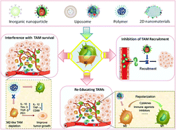 Graphical abstract: Nanomedicine-based cancer immunotherapies developed by reprogramming tumor-associated macrophages