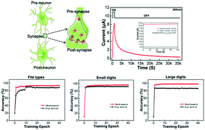 Graphical abstract: High photosensitivity light-controlled planar ZnO artificial synapse for neuromorphic computing