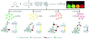Graphical abstract: Red, orange, yellow and green luminescence by carbon dots: hydrogen-bond-induced solvation effects