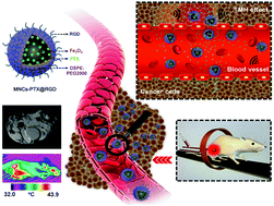 Graphical abstract: Paclitaxel-loaded magnetic nanocrystals for tumor neovascular-targeted theranostics: an amplifying synergistic therapy combining magnetic hyperthermia with chemotherapy