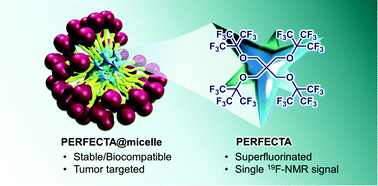 Graphical abstract: Tumor-targeted superfluorinated micellar probe for sensitive in vivo19F-MRI