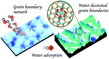Graphical abstract: Mirror twin boundaries in MoSe2 monolayers as one dimensional nanotemplates for selective water adsorption
