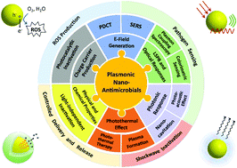 Graphical abstract: Plasmonic nano-antimicrobials: properties, mechanisms and applications in microbe inactivation and sensing