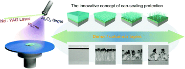 Graphical abstract: Long-term can-sealing protection: a stable black phosphorus nanoassembly achieved through heterogeneous hydrophobic functionalization