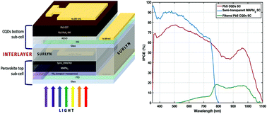 Graphical abstract: Perovskite and quantum dot tandem solar cells with interlayer modification for improved optical semitransparency and stability