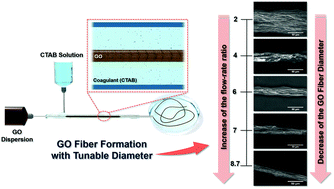 Graphical abstract: Graphene oxide fibers by microfluidics assembly: a strategy for structural and dimensional control